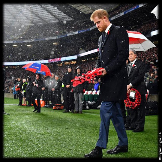 England v All Blacks Prince Harry